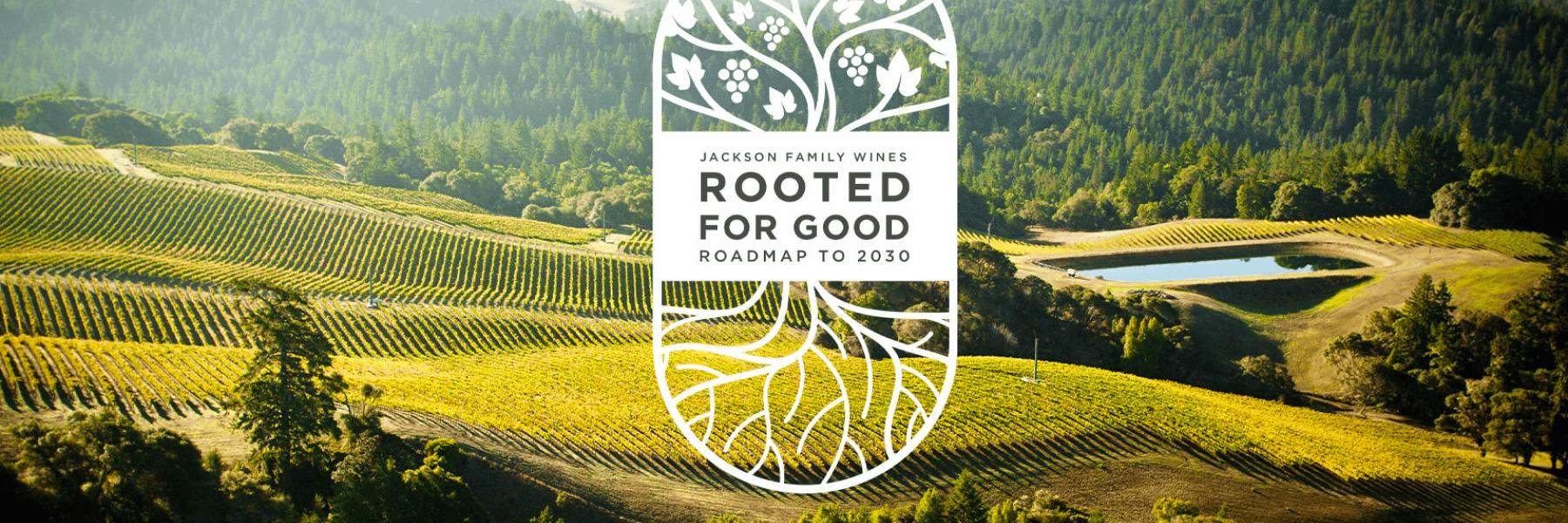 Jackson Family Wines recently launched Rooted for Good: Roadmap to 2030